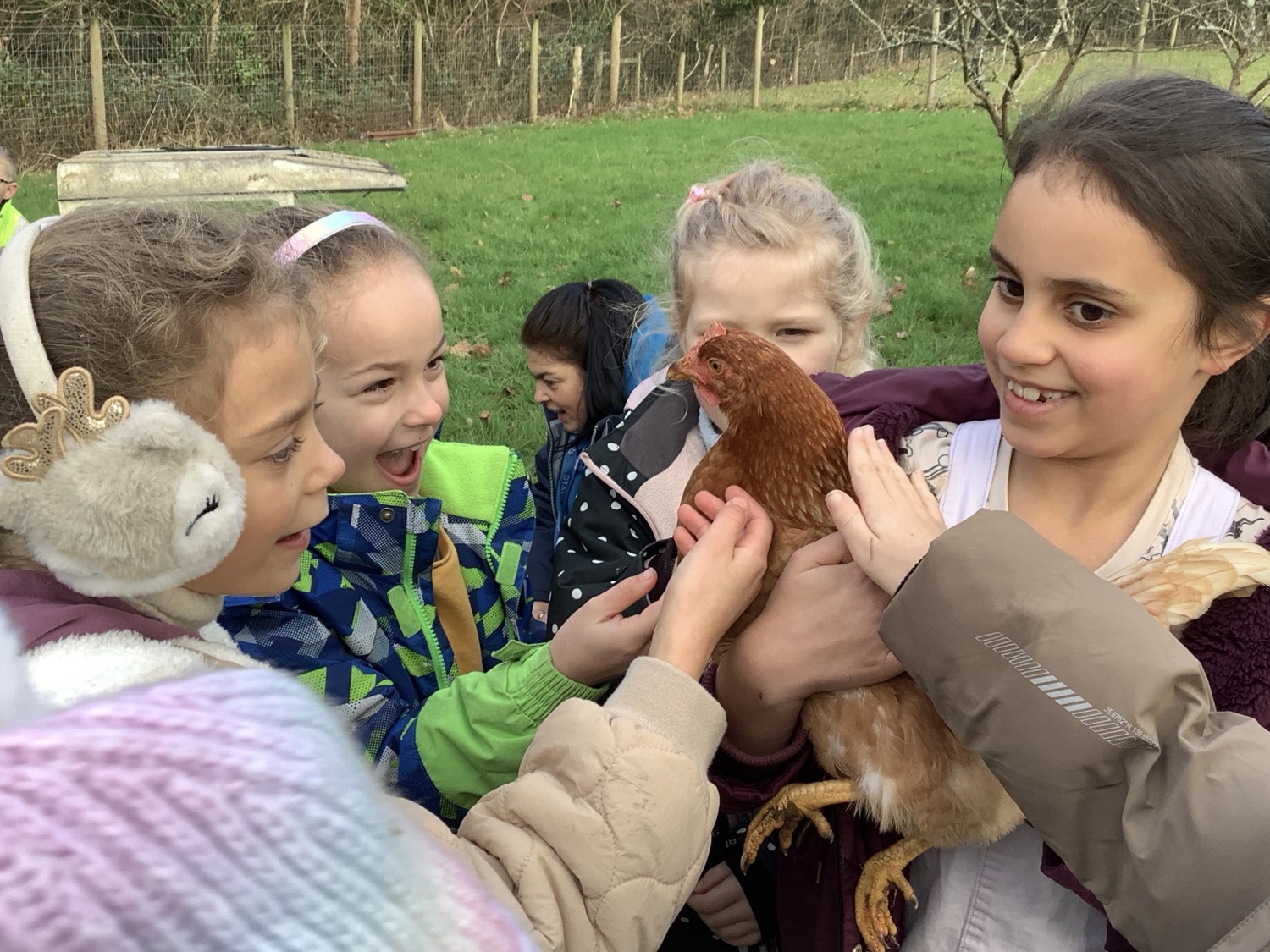 Curriculum visit to Ferry Farm